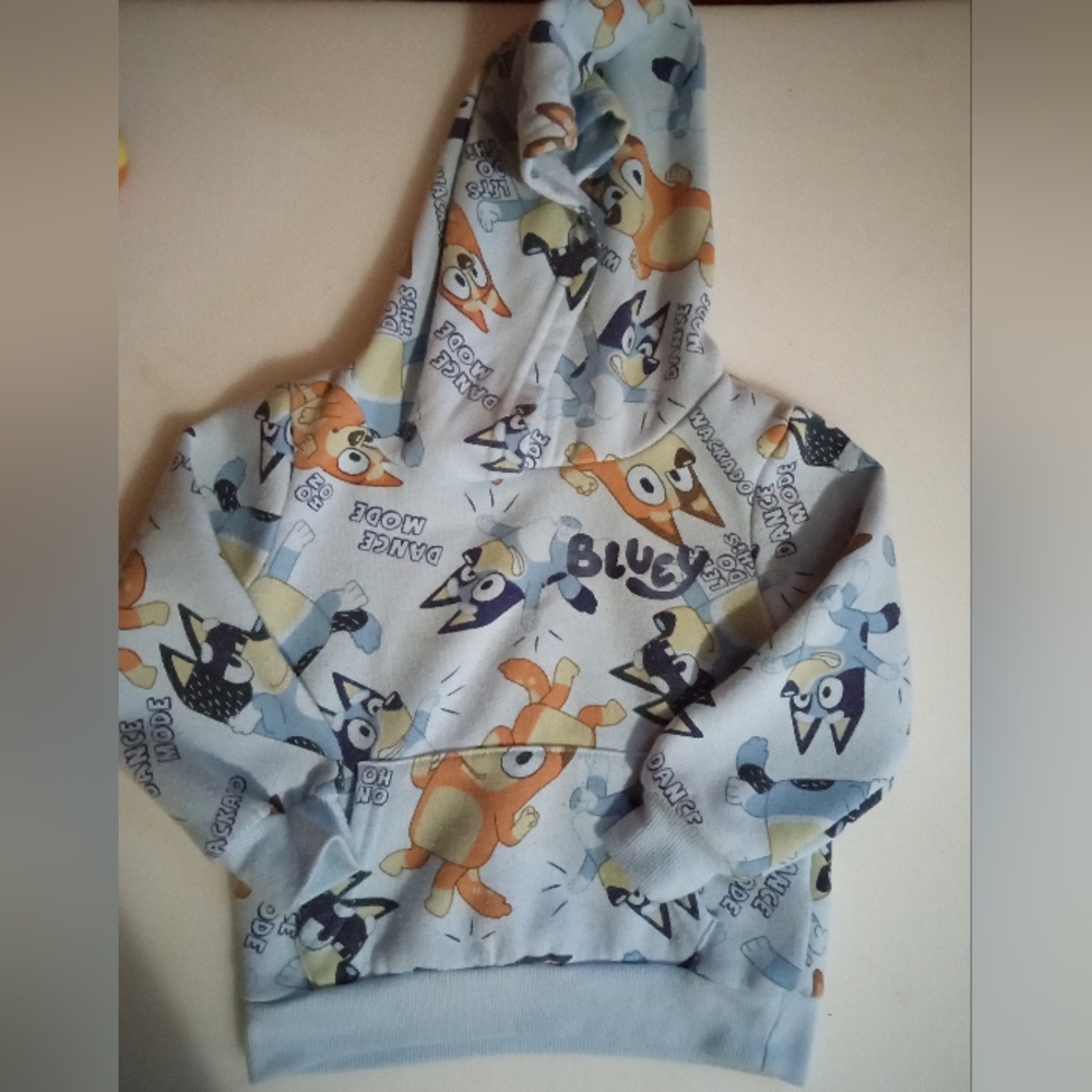 Bluey hoodie